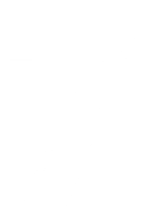 SETE LOGO 4.png